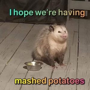 Meet your Posher, Cassie